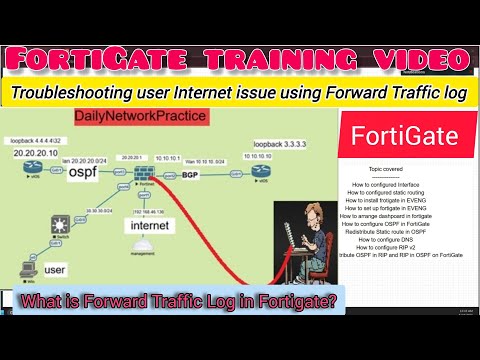 FortiWiFi 80F: Network Connectivity Issues