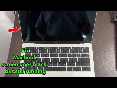 MacBook Air Screen Suddenly Turns Black