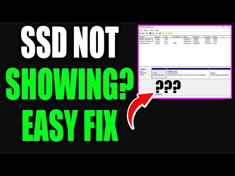 Plextor SSD Not Recognized by Windows: Causes and Fixes