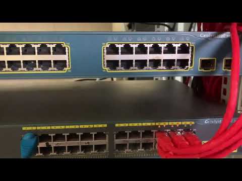 RJ45 Switch Not Connecting: Common Network Issues