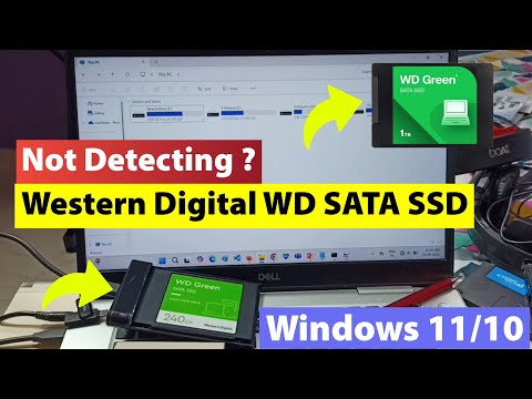 MX500 500GB Not Detected: Troubleshoot Connection Issues