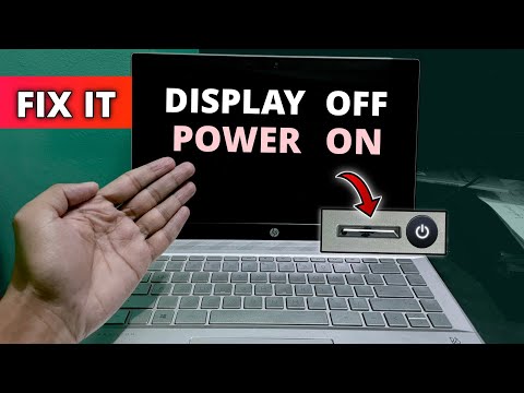 HP Laptop Screen Not Turning On: Causes to Check