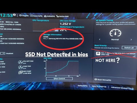 230GB SSD Failing to Boot Windows 10