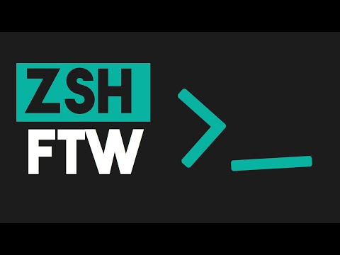 lavapro Shell: Unexpected Errors in Zsh Environment