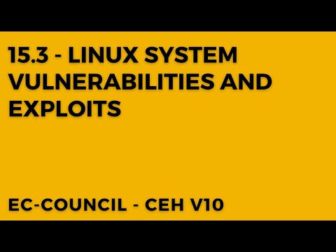 Ubuntu Security and Your Network: Potential Vulnerabilities