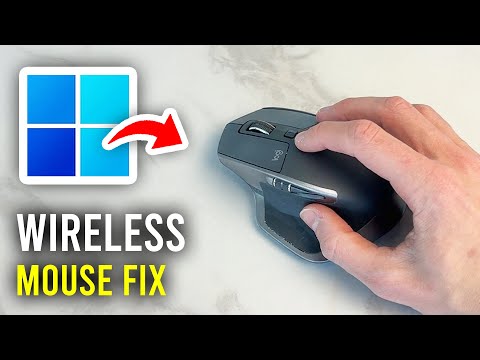 Razer Mouse Not Recognized by Windows: Troubleshoot Now